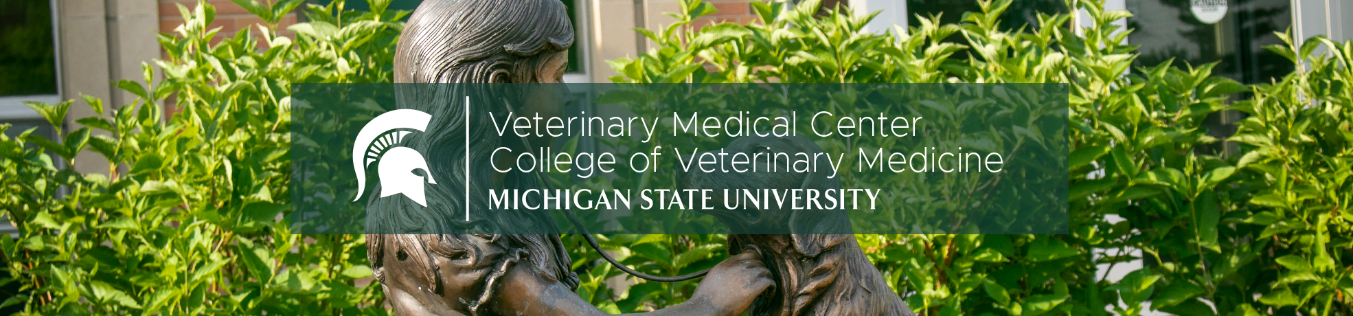 Veterinary Medical Center, College of Veterinary Medicine, Michigan State University