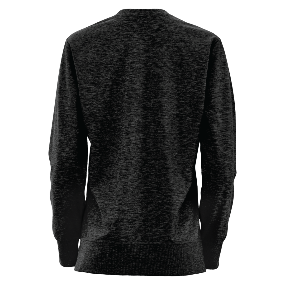 Back of a black long sleeve T-shirt.
