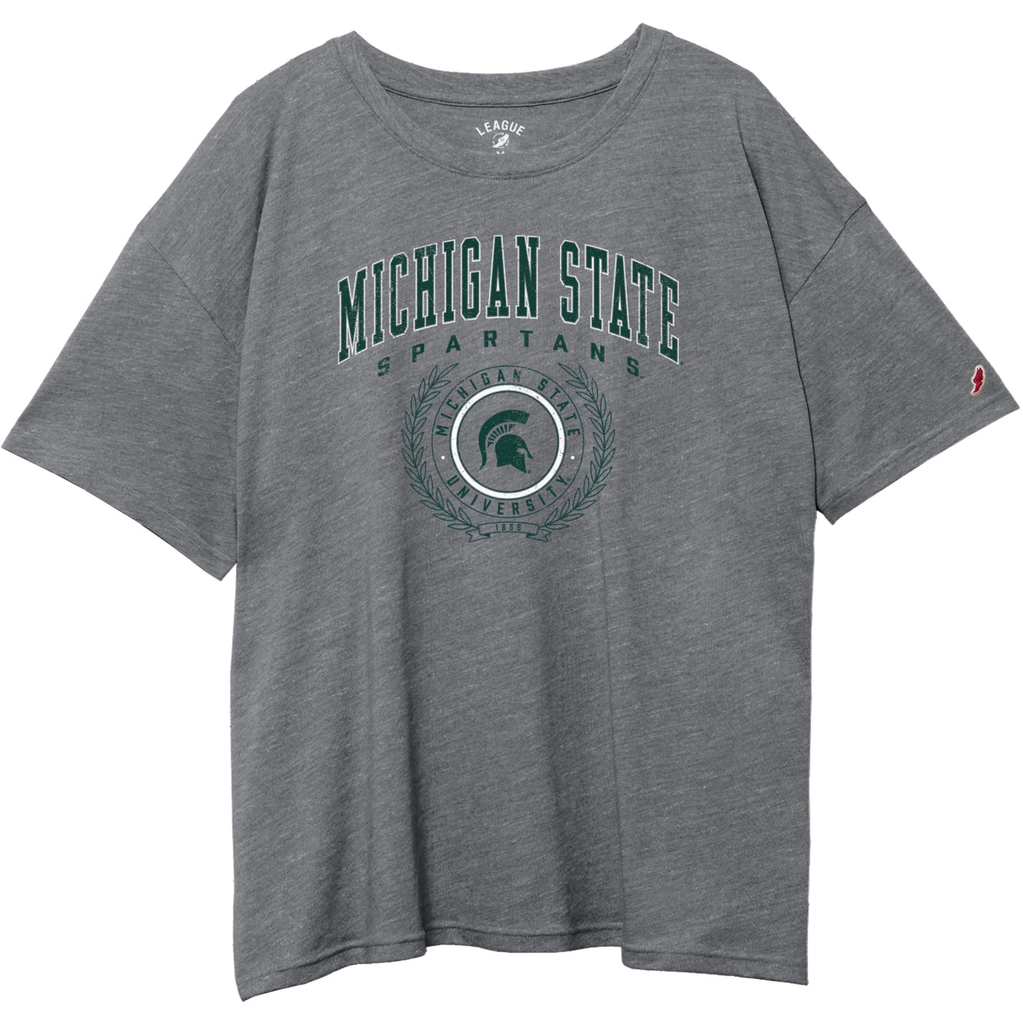 Gray T-shirt with green arched text that reads "Michigan State" with "Spartans" printed underneath and an MSU logo with the Spartan Helmet logo in the middle under all the text.