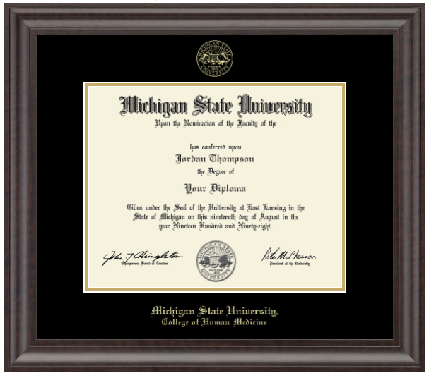 The diploma is enclosed in a dark wood frame with a black matte and gold trim. 'Michigan State University' is printed in gold lettering at the bottom center of the frame. Below in gold lettering is 'College of Human Medicine'.