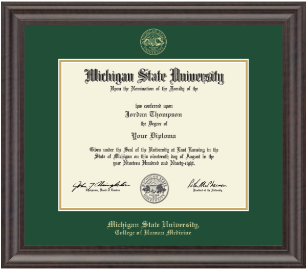 The diploma is enclosed in a dark wood frame with a tartan green matte and gold trim. 'Michigan State University' is printed in gold lettering at the bottom center of the frame. Below in gold lettering is 'College of Human Medicine'.