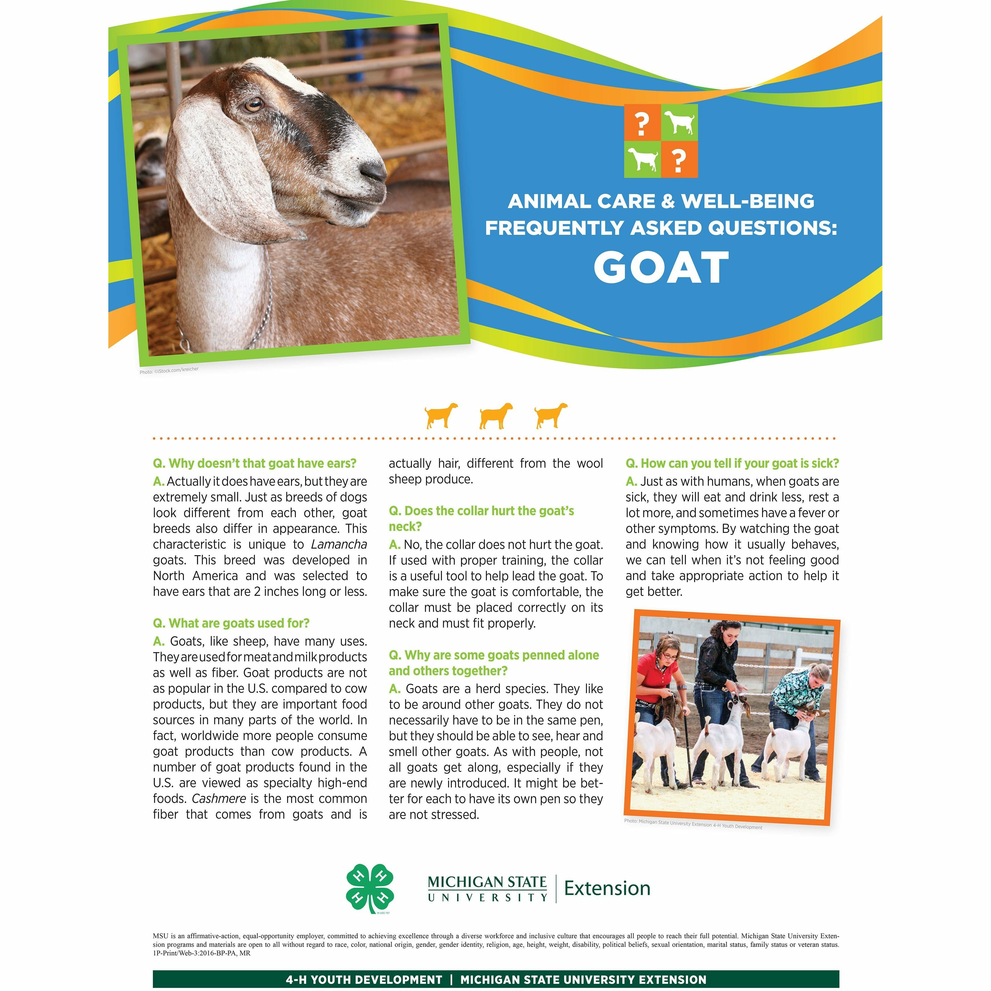 Poster titled "Animal care and well being frequently asked questions: Goat." A picture of a goat is at the top of the poster in front of a multi-colored banner. The lower half of the poster contains text with headings listed in a question and answer format. A group of girls holding goats is pictured in the bottom right.