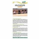 Bookmark titled "Animal care and well being frequently asked questions: Sheep." A Picture of a groups of girls holding onto sheep is at the top of the bookmark. The lower half of the bookmark contains text with headings listed in a question and answer format.