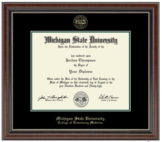 The diploma is enclosed in a dark brown wood frame with a black matte and green trim. 'Michigan State University' is printed in gold lettering at the bottom center of the frame. Below in gold letters, 'College of Veterinary Medicine'