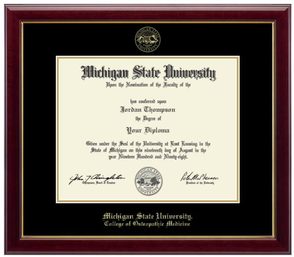 The diploma is enclosed in a dark wood frame with a black matte and gold trim. 'Michigan State University' is printed in gold lettering at the bottom center of the frame. Below in gold lettering 'College of Osteopathic Medicine'