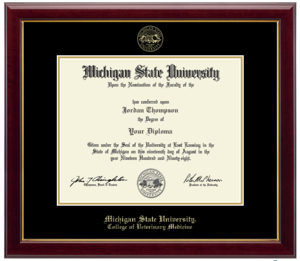 The diploma is enclosed in a dark wood frame with a black matte and gold trim. 'Michigan State University' is printed in gold lettering at the bottom center of the frame. Below in gold lettering 'College of Veterinary Medicine'
