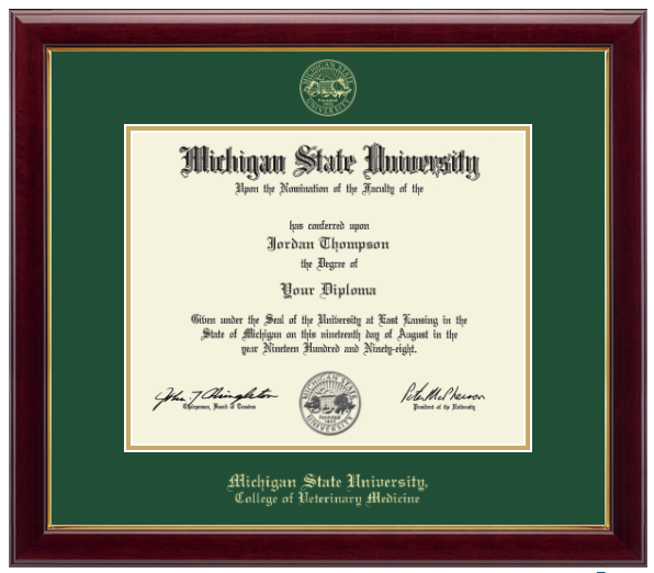 The diploma is enclosed in a dark wood frame with a green matte and gold trim. 'Michigan State University' is printed in gold lettering at the bottom center of the frame. Below in gold lettering 'College of Veterinary Medicine'