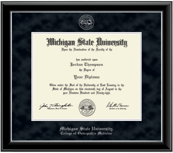 Framed Michigan State University diploma in a black glossy frame with a silver inner edge. The matte is black, featuring the university seal at the top center and 'Michigan State University' written in silver at the bottom center.