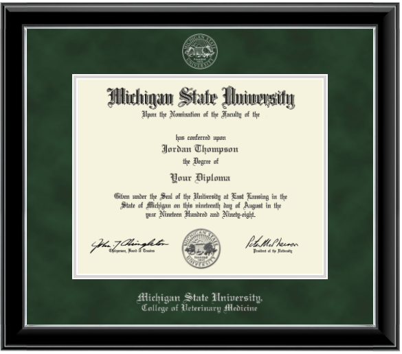 Michigan State University diploma with green border and black frame