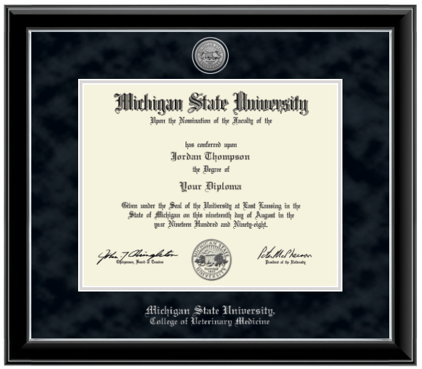 Black diploma frame with silver inner lining. Black suede matts with silver lining around opening for diploma. Silver engraved Michigan State University seal at top of matting. In silver letters 'Michigan State University' at the bottom of matting. Below that in silver letters 'College of Veterinary Medicine'.