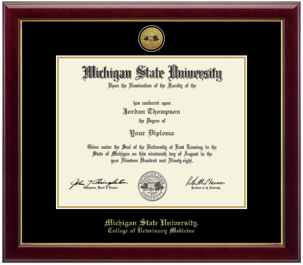 Framed Michigan State University diploma in a dark wood frame with a gold inner edge. The matte is black with a gold inner border surrounding the diploma. Michigan State Seal is at the top of matte and is gold engraved. 'Michigan State University' is inscribed in gold at the bottom of the frame. Below Michigan State University is 'College of Veterinary Medicine'.