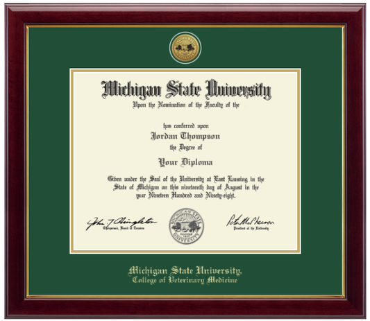 Framed Michigan State University diploma in a dark wood frame with a gold inner edge. The matte is tartan green with a gold inner border surrounding the diploma. Michigan State Seal is at the top of matte and is gold engraved. 'Michigan State University' is inscribed in gold at the bottom of the frame. Below Michigan State University is 'College of Veterinary Medicine'.