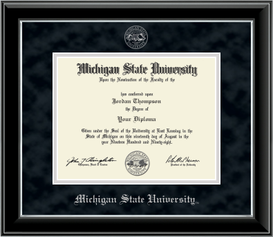 Framed Michigan State University diploma in a black glossy frame with a silver inner edge. The matte is black, featuring the university seal at the top center and 'Michigan State University' written in silver at the bottom center.