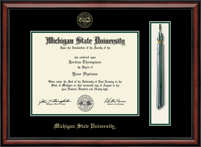 Dark cherry colored frame with a gold inner border and black matte finish, displaying a Michigan State University diploma on the left and a graduation tassel on the right. The top of the frame features the university emblem, and 'Michigan State University' is printed in gold text at the bottom.