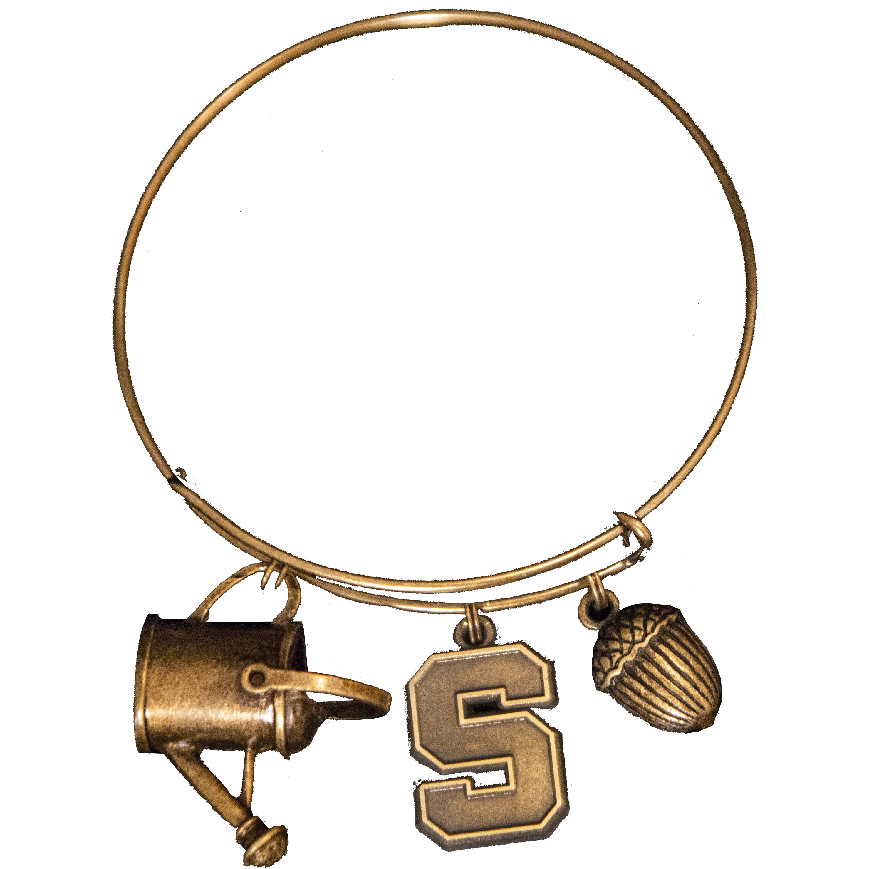 Bronze bangle-style bracelet with three charms. From left to right: a watering can, block S, and acorn (all bronze in color).