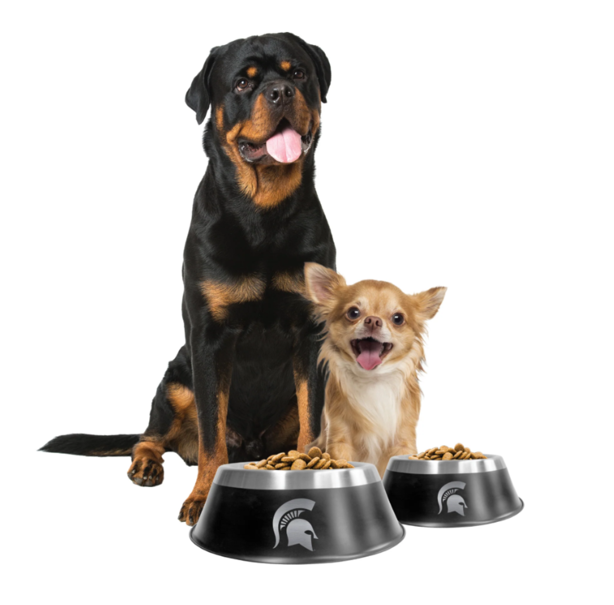 Two dogs beside two full black Spartan helmet pet bowls.