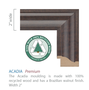 Church Hill Classics Diploma Frame Gold Embossed in Acadia (Ph.D./Medical)