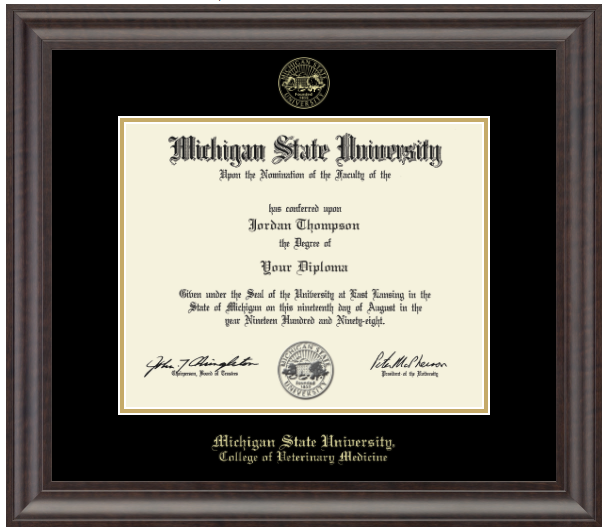 Church Hill Classics Diploma Frame Gold Embossed in Acadia (Ph.D./Medical)