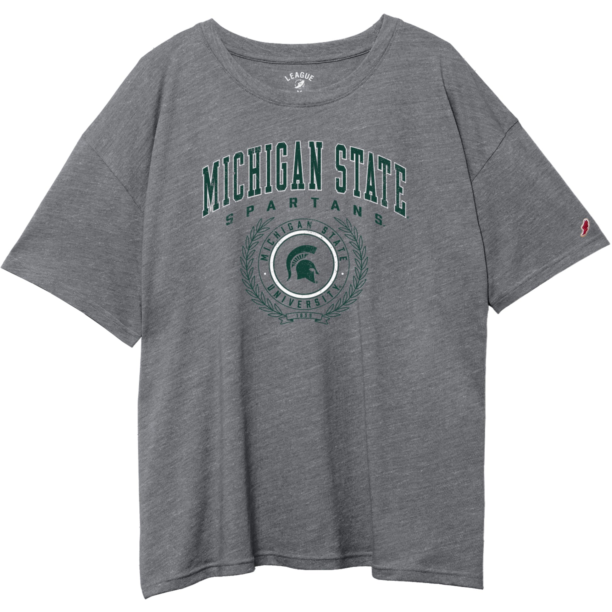Gray T-shirt with green arched text that reads "Michigan State" with "Spartans" printed underneath and an MSU logo with the Spartan Helmet logo in the middle under all the text. 