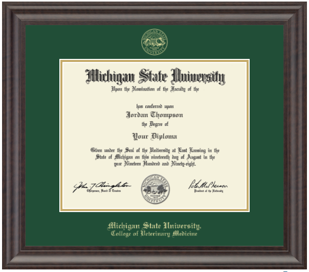 The diploma is enclosed in a dark wood frame with a green matte and gold trim. 'Michigan State University' is printed in gold lettering at the bottom center of the frame. Below in gold lettering is 'College of Veterinary Medicine'.