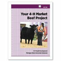 Cover of the downloadable PDF version of "Your 4-H Market Beef Project." The cover has a light purple background with a grid pattern. The cover also has an image of a girl in a pen guiding a cow.