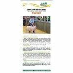 Bookmark titled "Animal care and well being frequently asked questions: Swine." A picture of a girl guiding a pig is at the top of the bookmark. The lower half of the bookmark contains text with headings listed in a question and answer format.