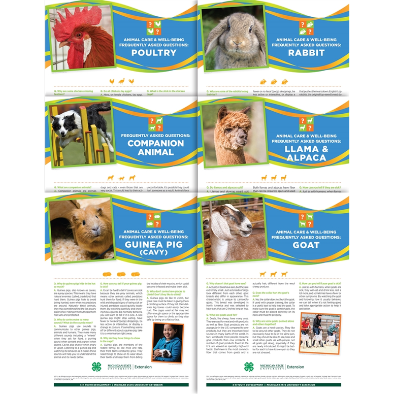 Layered photos of the six posters in the Animal Care and Well-Being poster set: Poultry, Rabbit, Companion Animal, Llama & Alpaca, Guinea Pig (Cavy), and Goat.