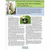 Cover of a book titled "Conserving Native Bees on Farmland". The cover has a mostly white background that includes a picture of a green and yellow plant in the top left corner of the cover and another plant in the center. The majority of the cover is encompassed with text. 