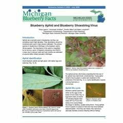 Cover of a book titled "Michigan Blueberry Facts: Blueberry Aphid & Blueberry Shoestring Virus." The cover has paragraph-style text with various images of leaves, plants, branches, and bugs circulated amongst the paragraphs.