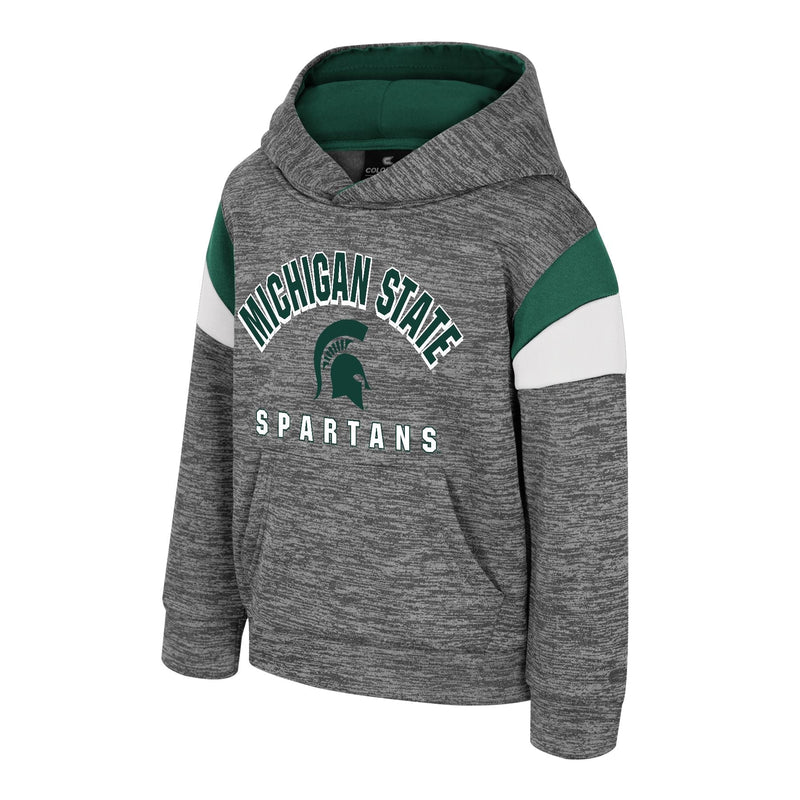Gray hooded sweatshirt with green and white accents, featuring the text 'MICHIGAN STATE SPARTANS' and the Michigan State Spartans logo centered between the words.
