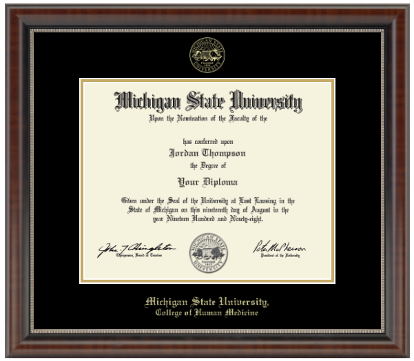 The diploma is enclosed in a dark brown wood frame with a black matte and gold trim. 'Michigan State University' is printed in gold lettering at the bottom center of the frame. Below in gold letters, 'College of Human Medicine'
