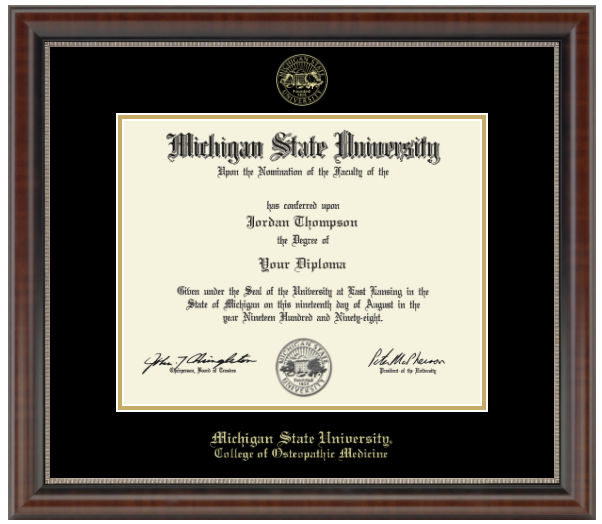 The diploma is enclosed in a dark brown wood frame with a black matte and gold trim. 'Michigan State University' is printed in gold lettering at the bottom center of the frame. Below in gold letters, 'College of Osteopathic Medicine'