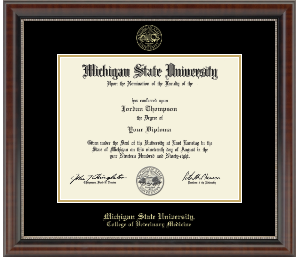 The diploma is enclosed in a dark brown wood frame with a black matte and gold trim. "Michigan State University" is printed in gold lettering at the bottom center of the frame. Below in gold letters, "College of Veterinary Medicine."