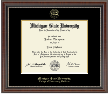 The diploma is enclosed in a dark brown wood frame with a black matte and gold trim. "Michigan State University" is printed in gold lettering at the bottom center of the frame. Below in gold letters, "College of Veterinary Medicine."