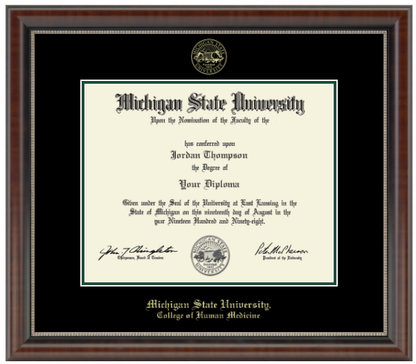 The diploma is enclosed in a dark brown wood frame with a black matte and green trim. "Michigan State University" is printed in gold lettering at the bottom center of the frame. Below in gold letters, "College of Human Medicine."