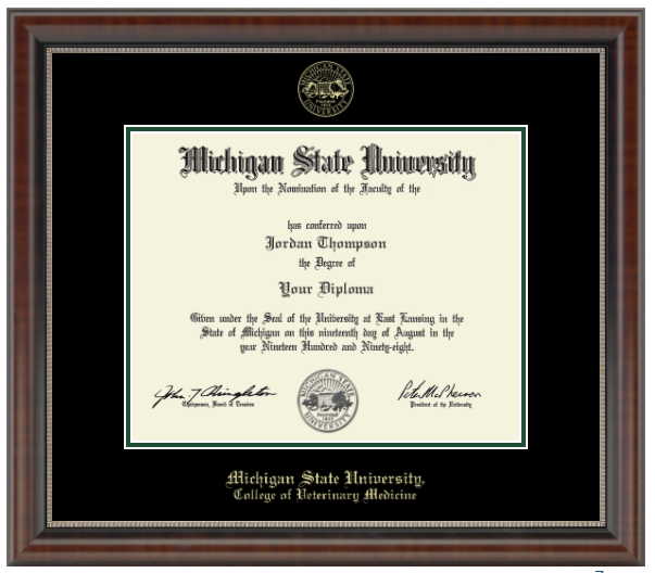 The diploma is enclosed in a dark brown wood frame with a black matte and green trim. 'Michigan State University' is printed in gold lettering at the bottom center of the frame. Below in gold letters, 'College of Veterinary Medicine'