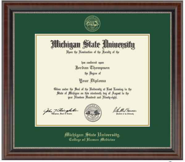 The diploma is enclosed in a dark brown wood frame with a green matte and gold trim. 'Michigan State University' is printed in gold lettering at the bottom center of the frame. Below in gold letters, 'College of Human Medicine'