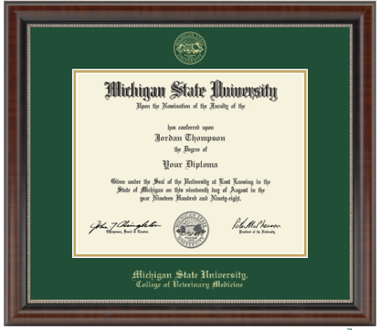 The diploma is enclosed in a dark brown wood frame with a green matte and gold trim. "Michigan State University" is printed in gold lettering at the bottom center of the frame. Below in gold letters, "College of Veterinary Medicine."