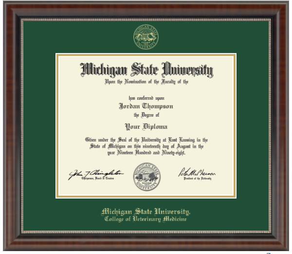 The diploma is enclosed in a dark brown wood frame with a green matte and gold trim. 'Michigan State University' is printed in gold lettering at the bottom center of the frame. Below in gold letters, 'College of Veterinary Medicine'
