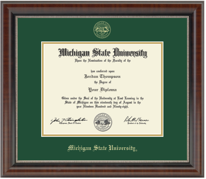 The diploma is enclosed in a dark brown wood frame with a green matte and gold trim. "Michigan State University" is printed in gold lettering at the bottom center of the frame.