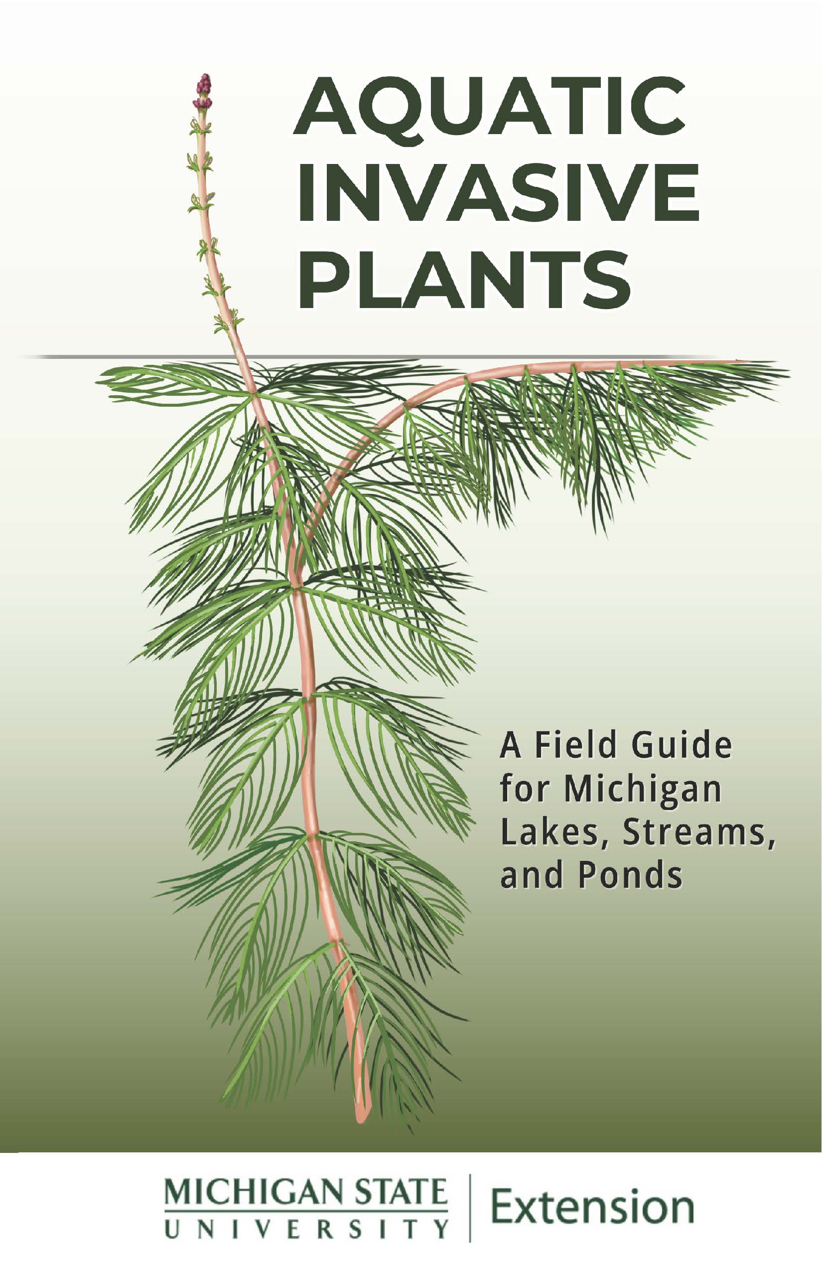 Book cover of 'Aquatic Invasive Plants' which is a field guide for Michigan lakes, streams, and ponds. With a plant illustration and Michigan State University Extension logo on the front.