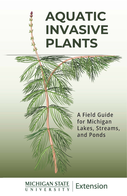 Book cover of 'Aquatic Invasive Plants' which is a field guide for Michigan lakes, streams, and ponds. With a plant illustration and Michigan State University Extension logo on the front.