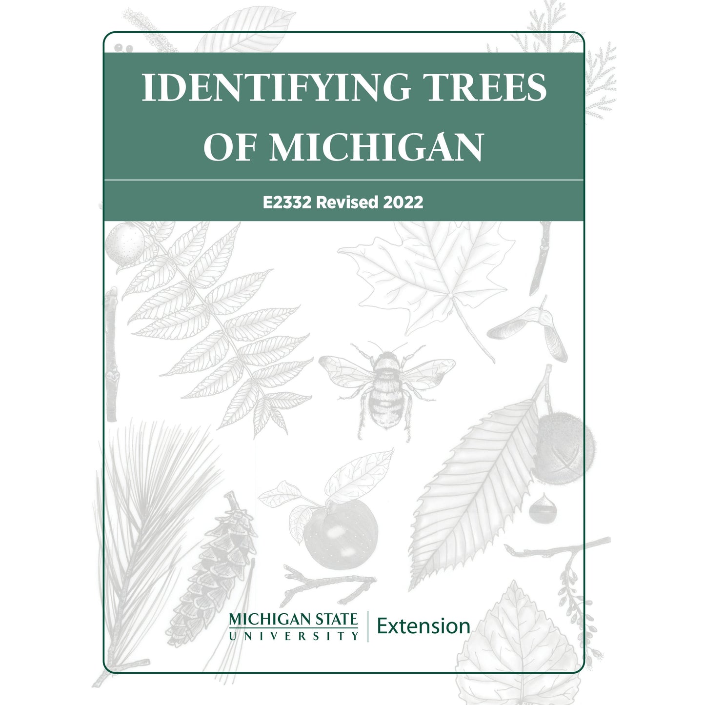 Cover of the book "Identifying Trees of Michigan." The title is in white lettering encompassed in a forest green background banner. Below the banner, in black and white, are drawings of various insects, tree branches, and fruits with the MSU Extension signature logo on the bottom in green. 