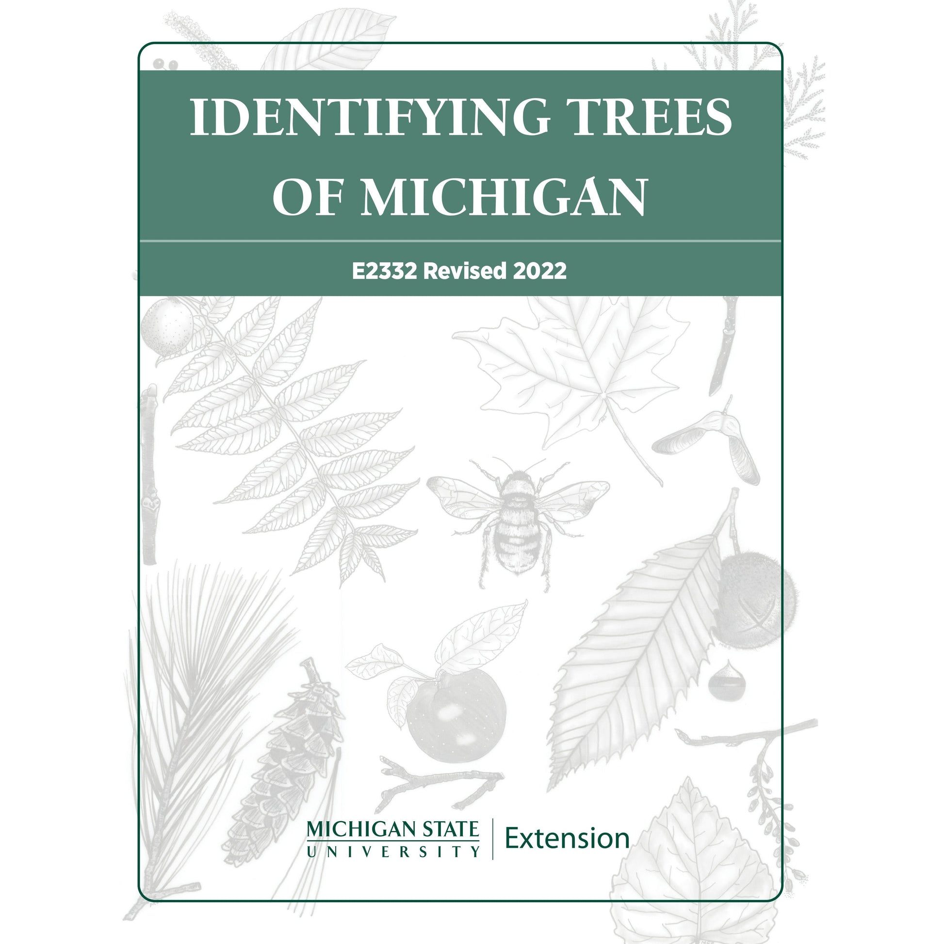 Cover of the book "Identifying Trees of Michigan." The title is in white lettering encompassed in a forest green background banner. Below the banner, in black and white, are drawings of various insects, tree branches, and fruits with the MSU Extension signature logo on the bottom in green. 