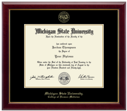 The diploma is enclosed in a dark wood frame with a black matte and gold trim. 'Michigan State University' is printed in gold lettering at the bottom center of the frame. Below in gold lettering 'College of Human Medicine'