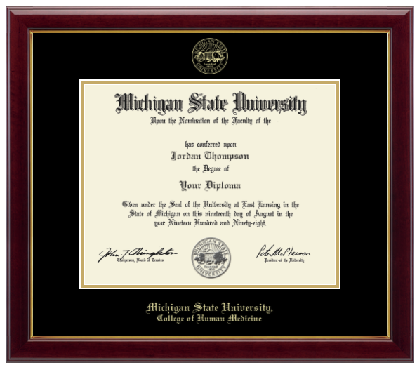 The diploma is enclosed in a dark wood frame with a black matte and gold trim. 'Michigan State University' is printed in gold lettering at the bottom center of the frame. Below in gold lettering 'College of Human Medicine'