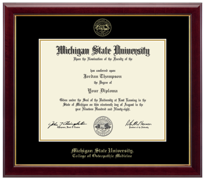 The diploma is enclosed in a dark wood frame with a black matte and gold trim. 'Michigan State University' is printed in gold lettering at the bottom center of the frame. Below in gold lettering 'College of Osteopathic Medicine'