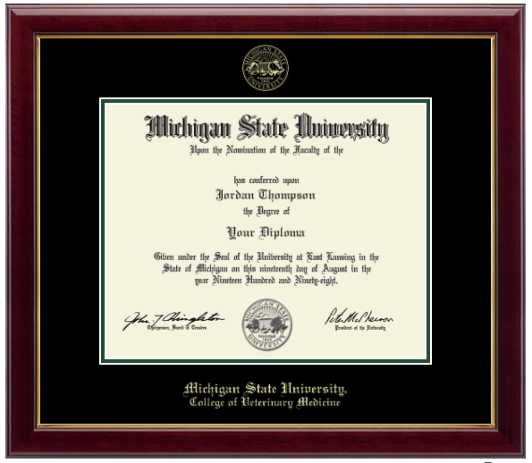 The diploma is enclosed in a dark wood frame with a black matte and green trim. 'Michigan State University' is printed in gold lettering at the bottom center of the frame. Below in gold lettering 'College of Veterinary Medicine'