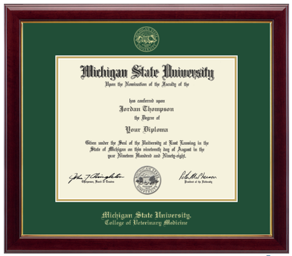 The diploma is enclosed in a dark wood frame with a green matte and gold trim. 'Michigan State University' is printed in gold lettering at the bottom center of the frame. Below in gold lettering 'College of Veterinary Medicine'