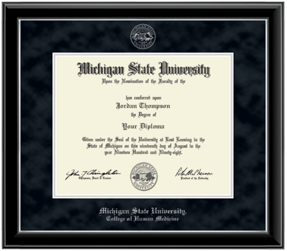 Framed Michigan State University diploma in a black glossy frame with a silver inner edge. The matte is black, featuring the university seal at the top center and 'Michigan State University' written in silver at the bottom center.
